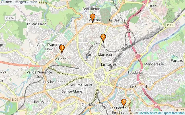 plan Guinée Limoges Associations Guinée Limoges : 4 associations