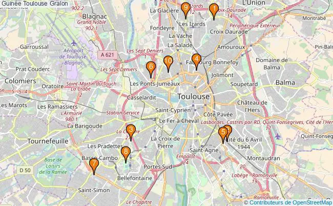 plan Guinée Toulouse Associations Guinée Toulouse : 14 associations