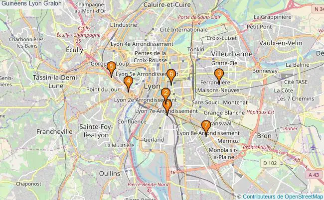 plan Guinéens Lyon Associations guinéens Lyon : 7 associations