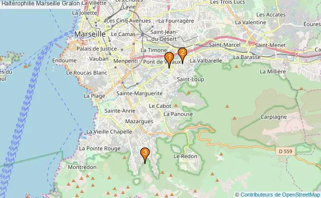 plan Haltérophilie Marseille Associations haltérophilie Marseille : 3 associations