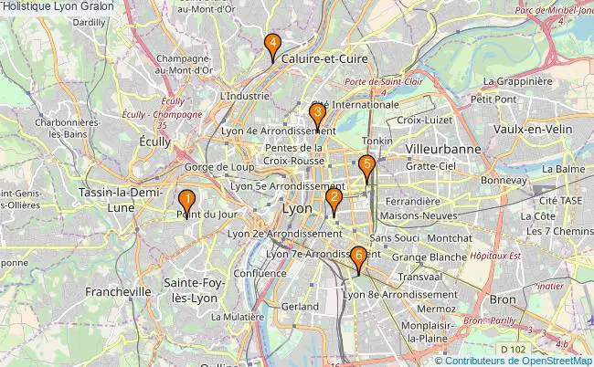 plan Holistique Lyon Associations holistique Lyon : 7 associations