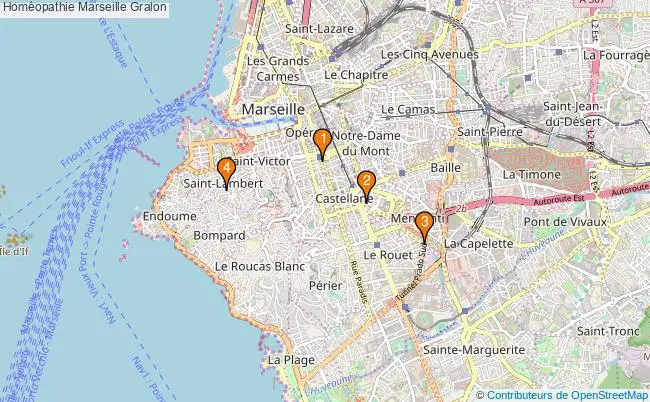 plan Homéopathie Marseille Associations homéopathie Marseille : 4 associations