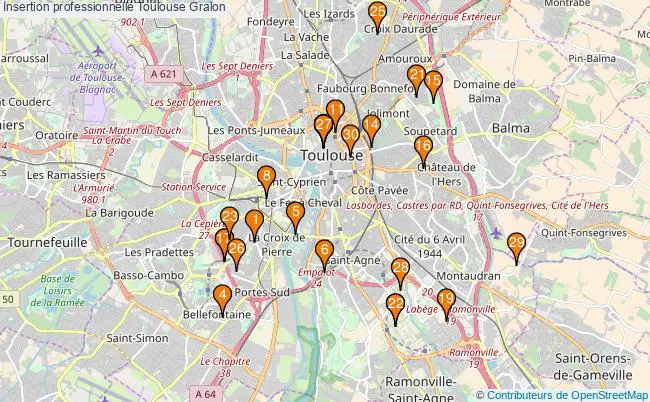plan Insertion professionnelle Toulouse Associations Insertion professionnelle Toulouse : 105 associations