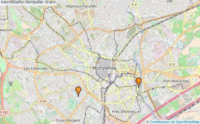 plan Intermédiation Montpellier Associations intermédiation Montpellier : 6 associations