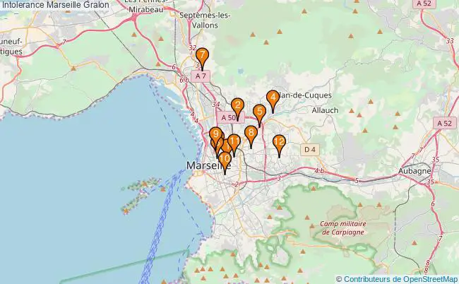 plan Intolerance Marseille Associations intolerance Marseille : 13 associations