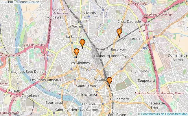 plan Ju-Jitsu Toulouse Associations Ju-Jitsu Toulouse : 4 associations