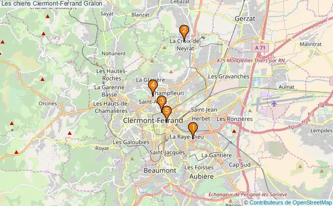 plan Les chiens Clermont-Ferrand Associations Les chiens Clermont-Ferrand : 5 associations
