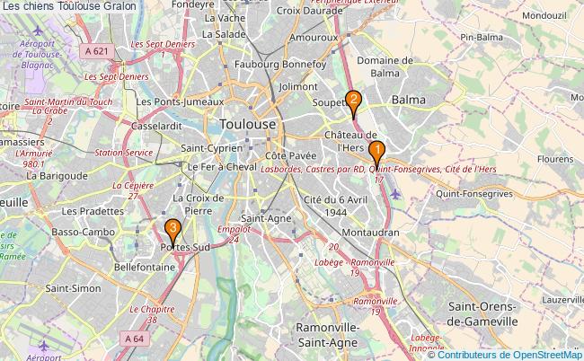 plan Les chiens Toulouse Associations Les chiens Toulouse : 3 associations
