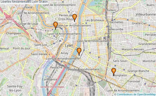 plan Libertés fondamentales Lyon Associations libertés fondamentales Lyon : 6 associations