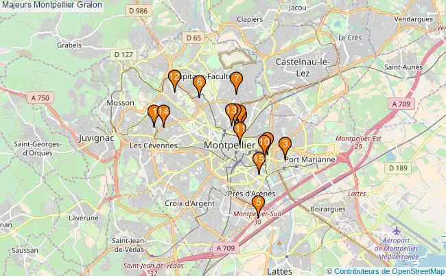 plan Majeurs Montpellier Associations Majeurs Montpellier : 17 associations
