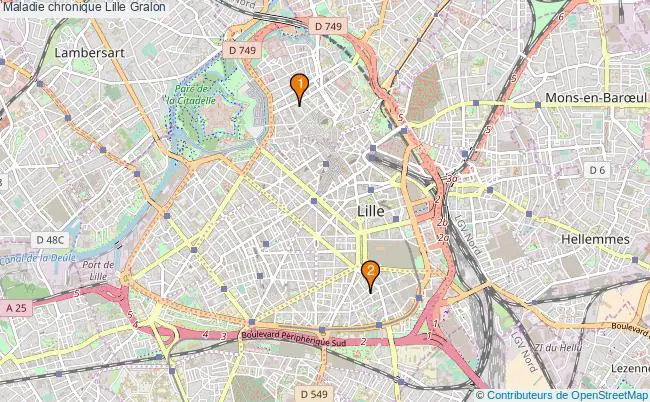 plan Maladie chronique Lille Associations maladie chronique Lille : 3 associations
