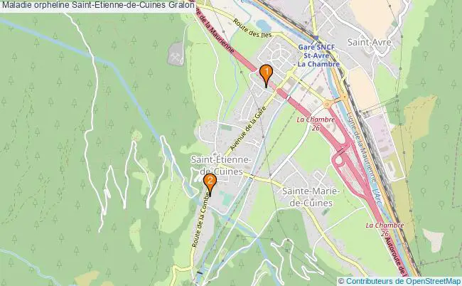 plan Maladie orpheline Saint-Etienne-de-Cuines Associations maladie orpheline Saint-Etienne-de-Cuines : 2 associations