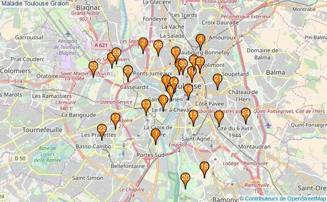 plan Maladie Toulouse Associations Maladie Toulouse : 45 associations