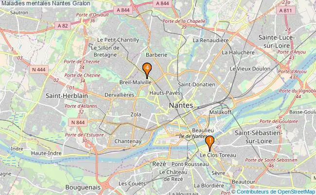 plan Maladies mentales Nantes Associations maladies mentales Nantes : 5 associations