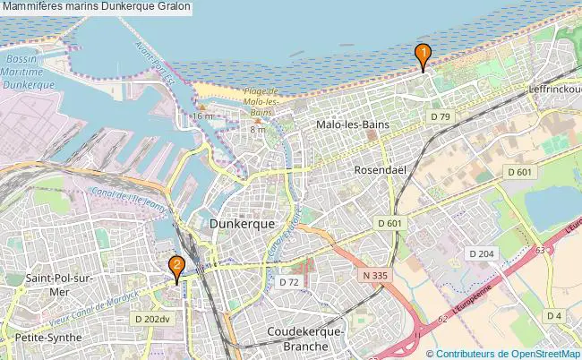 plan Mammifères marins Dunkerque Associations mammifères marins Dunkerque : 2 associations