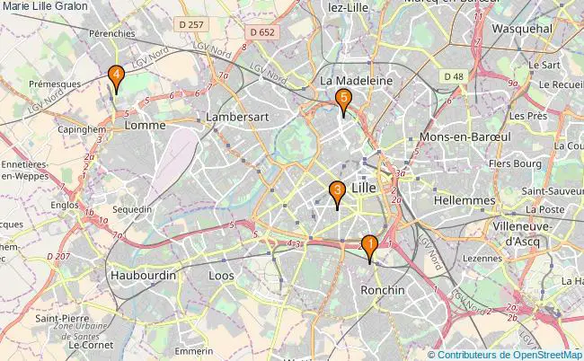 plan Marie Lille Associations Marie Lille : 7 associations