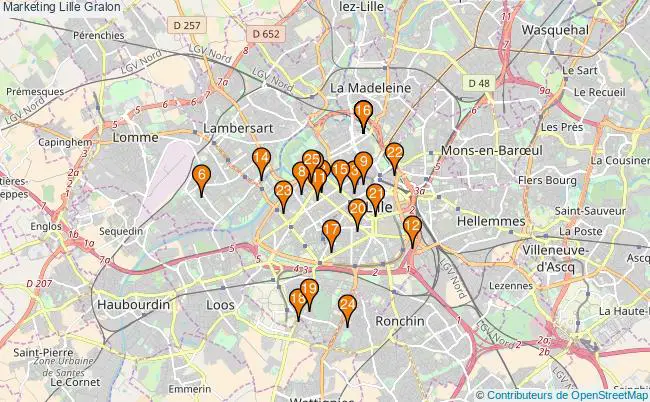 plan Marketing Lille Associations marketing Lille : 26 associations
