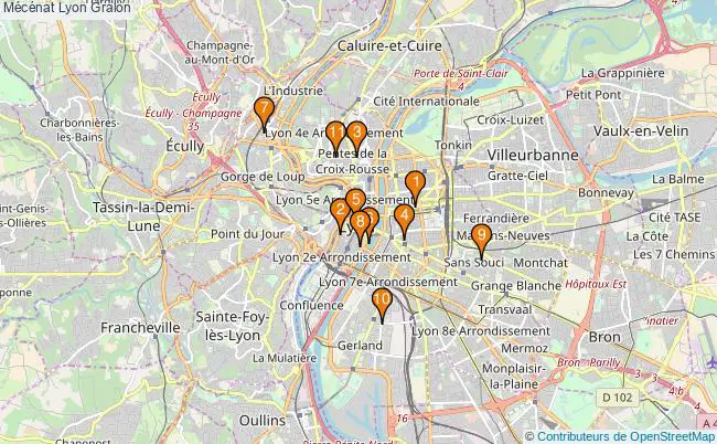plan Mécénat Lyon Associations mécénat Lyon : 16 associations
