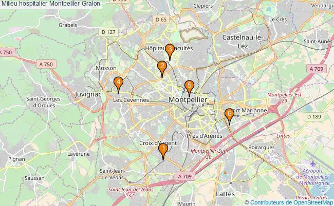 plan Milieu hospitalier Montpellier Associations milieu hospitalier Montpellier : 5 associations