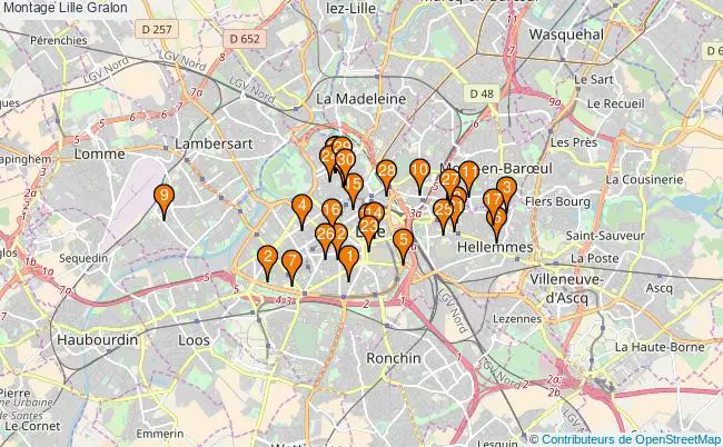 plan Montage Lille Associations montage Lille : 36 associations