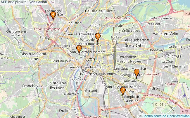 plan Multidisciplinaire Lyon Associations Multidisciplinaire Lyon : 5 associations