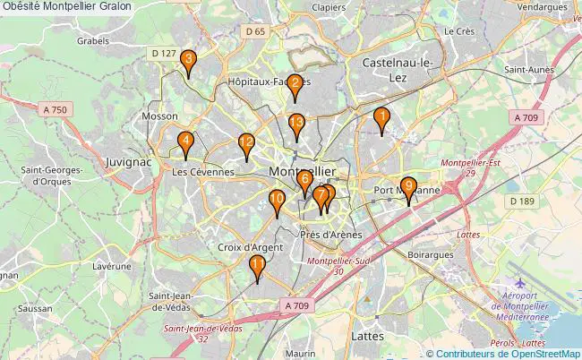 plan Obésité Montpellier Associations obésité Montpellier : 15 associations