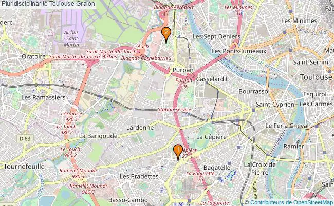 plan Pluridisciplinarité Toulouse Associations pluridisciplinarité Toulouse : 4 associations