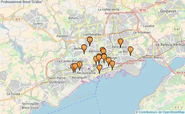 plan Professionnel Brest Associations professionnel Brest : 54 associations