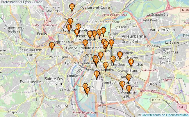 plan Professionnel Lyon Associations professionnel Lyon : 310 associations
