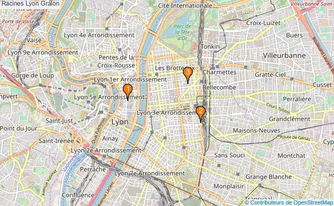 plan Racines Lyon Associations racines Lyon : 4 associations