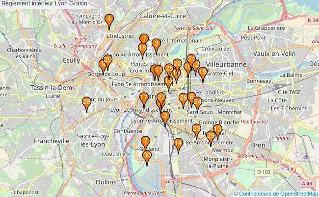 plan Règlement intérieur Lyon Associations règlement intérieur Lyon : 41 associations