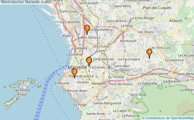 plan Réintroduction Marseille Associations réintroduction Marseille : 4 associations