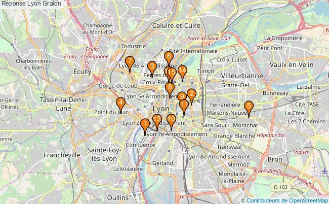 plan Réponse Lyon Associations Réponse Lyon : 22 associations