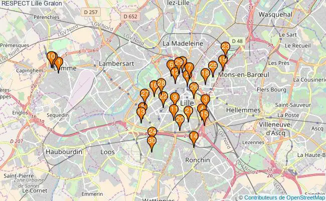 plan RESPECT Lille Associations RESPECT Lille : 258 associations