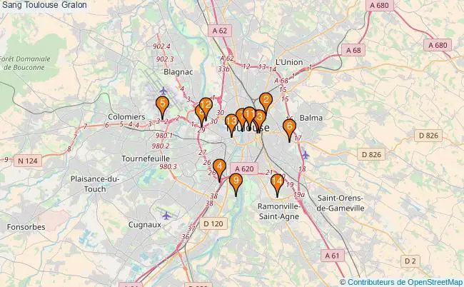 plan Sang Toulouse Associations sang Toulouse : 14 associations