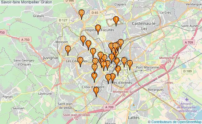 plan Savoir-faire Montpellier Associations Savoir-faire Montpellier : 72 associations
