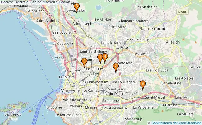 plan Société Centrale Canine Marseille Associations Société Centrale Canine Marseille : 6 associations