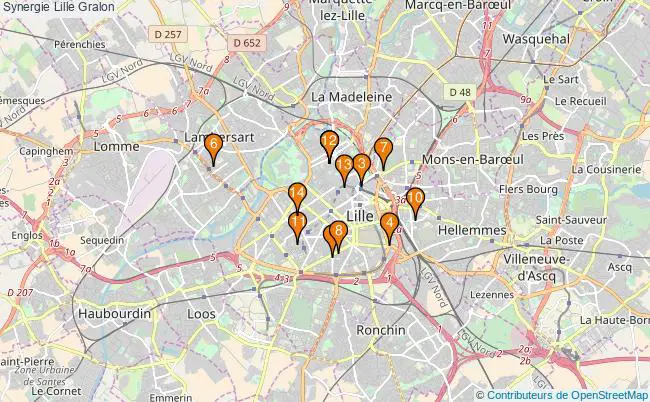 plan Synergie Lille Associations synergie Lille : 17 associations