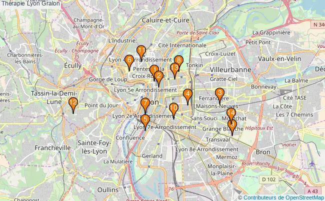 plan Thérapie Lyon Associations thérapie Lyon : 17 associations