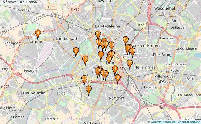 plan Tolérance Lille Associations tolérance Lille : 38 associations