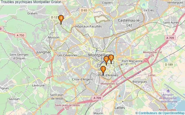 plan Troubles psychiques Montpellier Associations troubles psychiques Montpellier : 4 associations