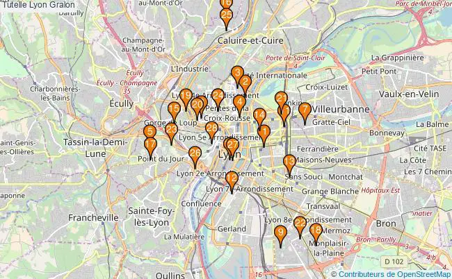 plan Tutelle Lyon Associations Tutelle Lyon : 29 associations