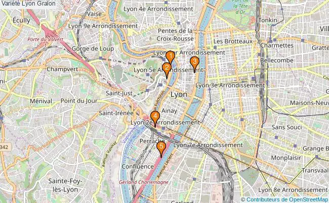 plan Variété Lyon Associations variété Lyon : 5 associations