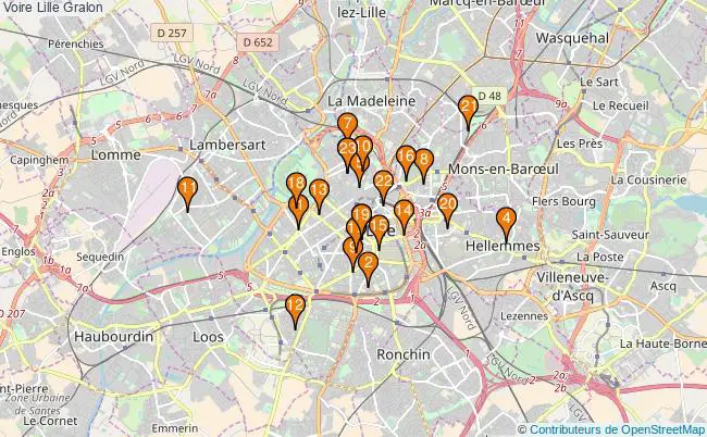 plan Voire Lille Associations Voire Lille : 30 associations