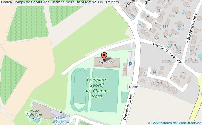 plan Salle Omnisports Complexe Sportif Des Champs Noirs