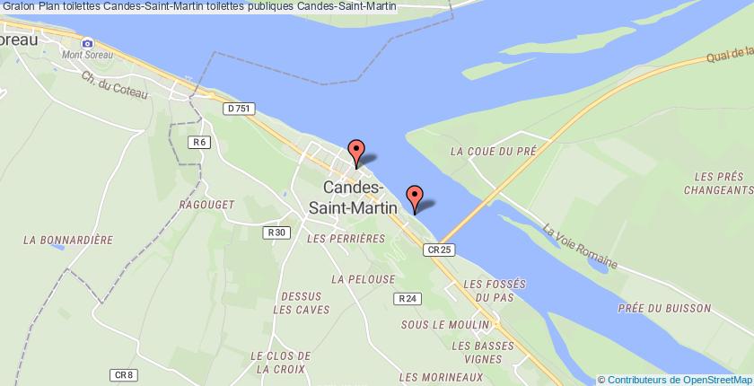 plan toilettes Candes-Saint-Martin