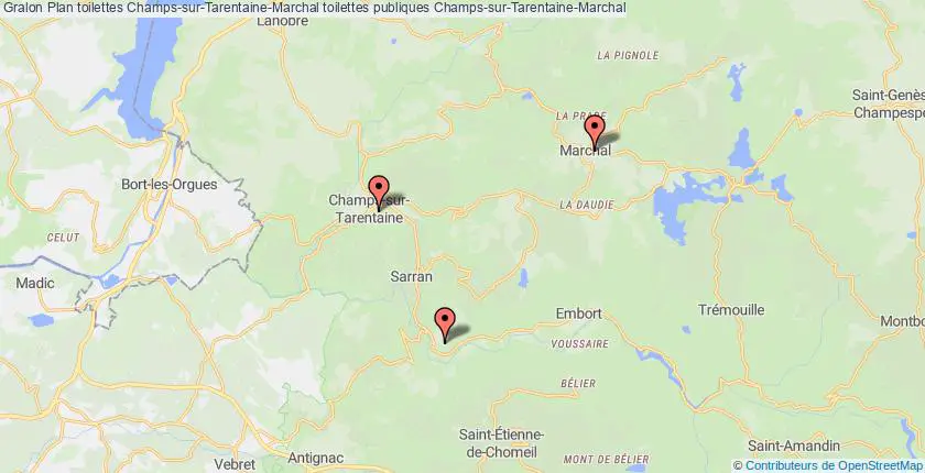 plan toilettes Champs-sur-Tarentaine-Marchal