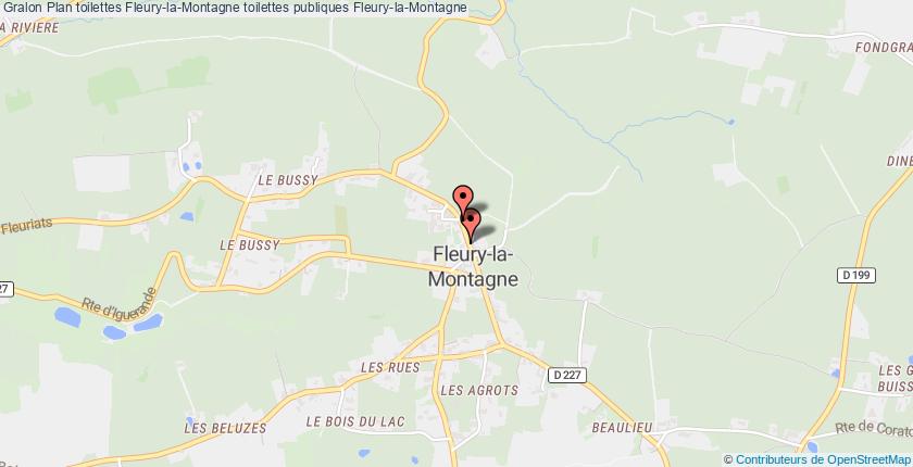 plan toilettes Fleury-la-Montagne
