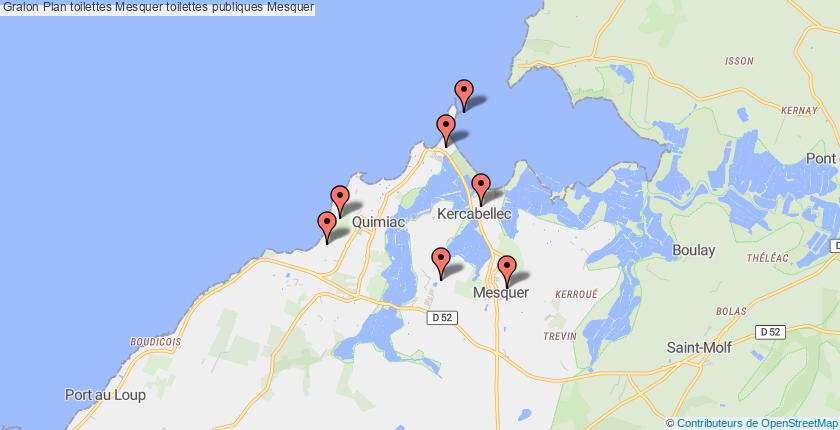 plan toilettes Mesquer
