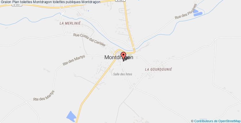 plan toilettes Montdragon